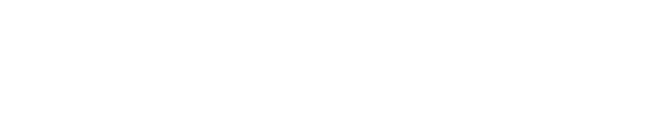 数据库开发系统